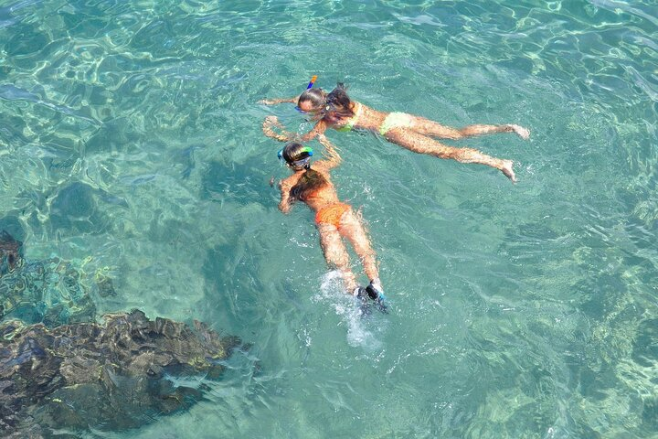 Marathon Key: 3-hour Snorkeling adventure on a Pontoon at Sombrero Reef  - Photo 1 of 6